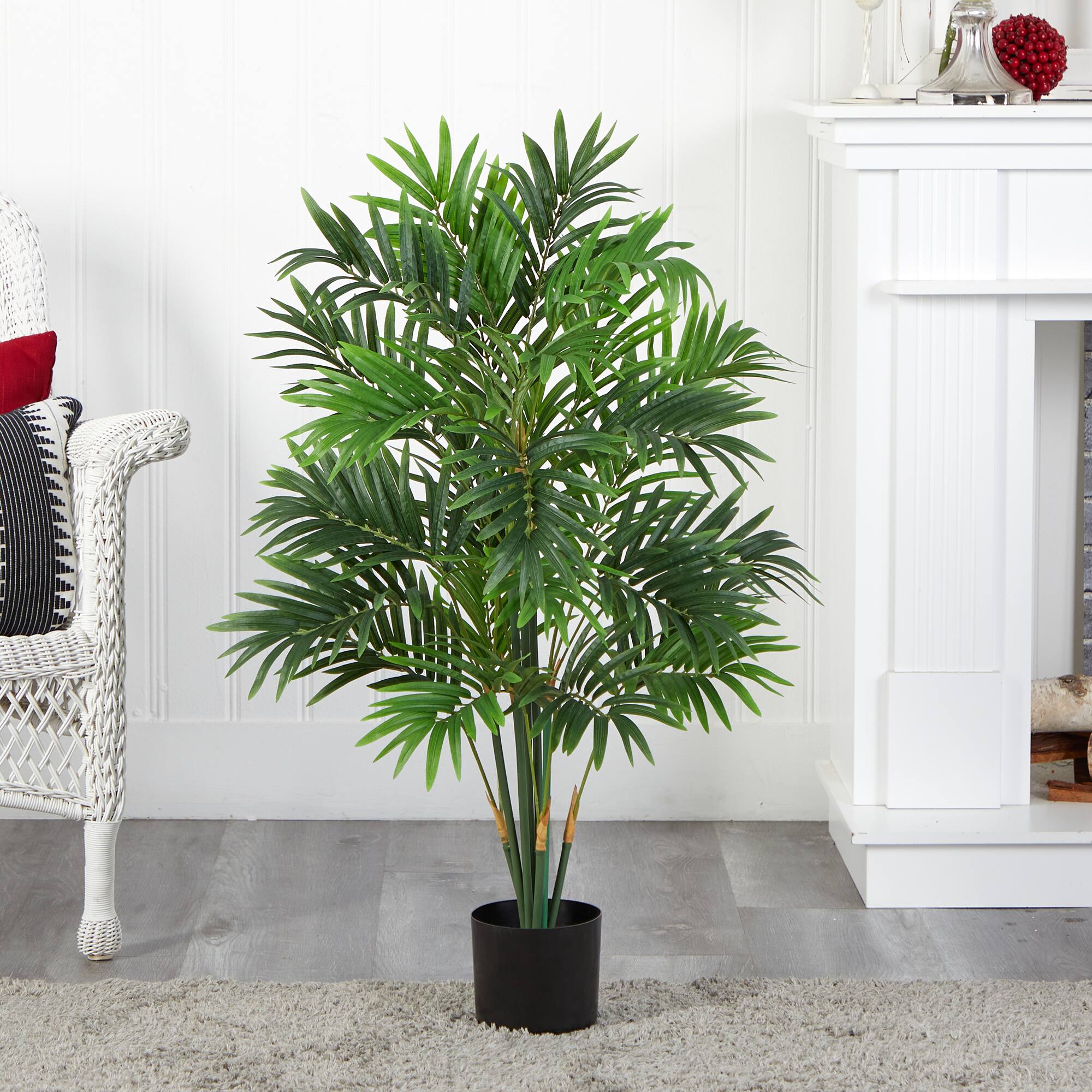 3ft. Potted Areca Palm Tree
